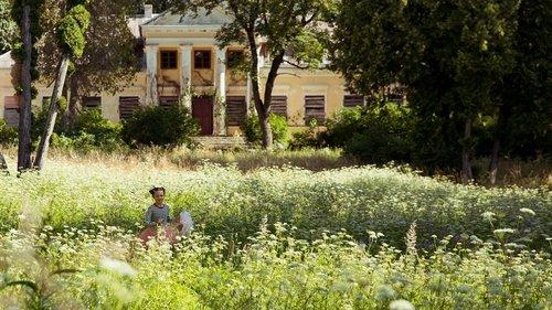 Drugelio širdis filmas žiurėti online