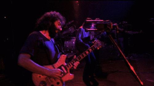 The Grateful Dead Movie filmas žiurėti online