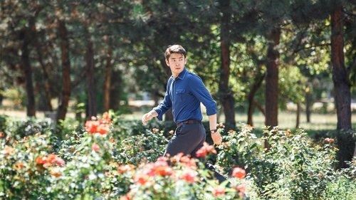 Три filmas žiurėti online