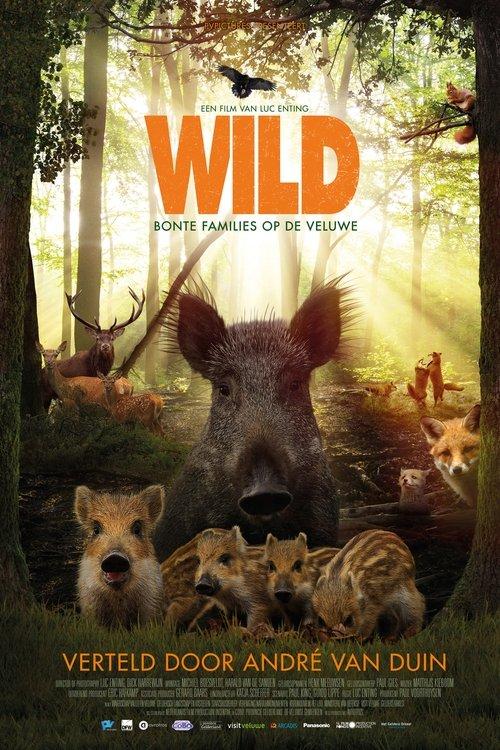 Wild filmas online