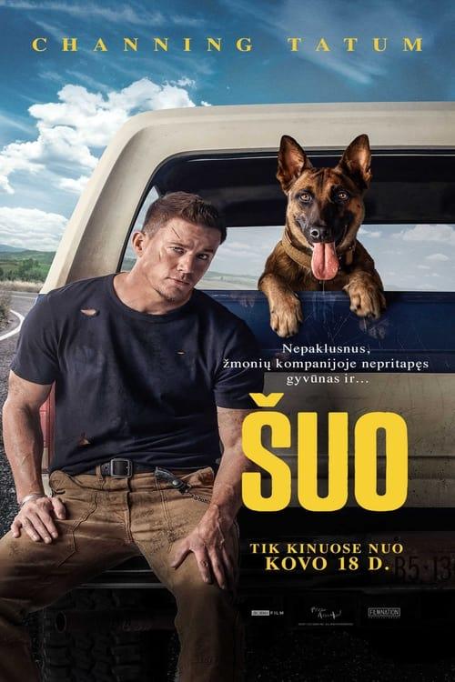 Šuo filmas online