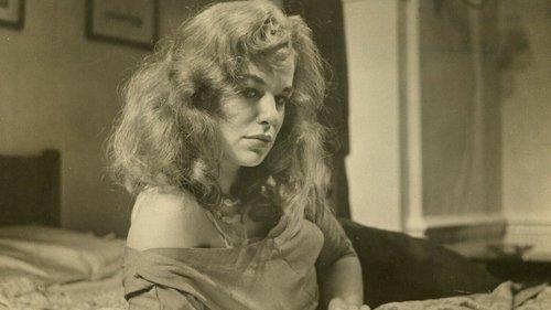 Web of Evidence filmas žiurėti online