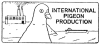 International Pigeon Production studio logo