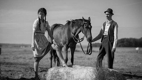 Moromeţii 2 filmas žiurėti online