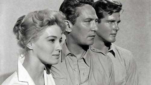 The Sins of Rachel Cade filmas žiurėti online