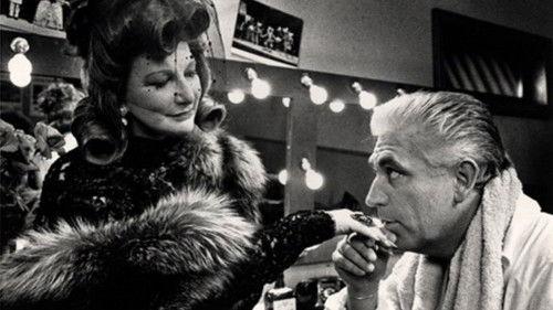 Theo en Thea en de ontmaskering van het tenenkaasimperium filmas žiurėti online