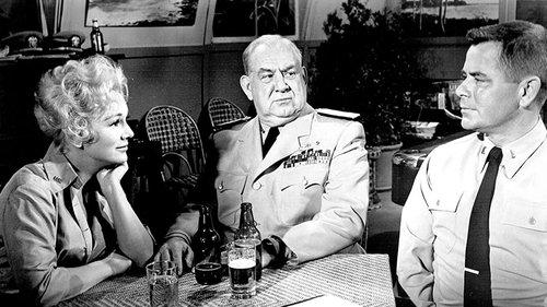 Don't Go Near the Water filmas žiurėti online