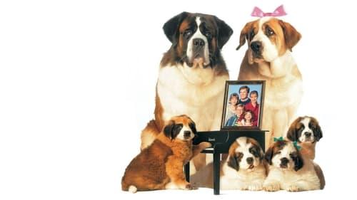 Bethovenas 2 filmas žiurėti online