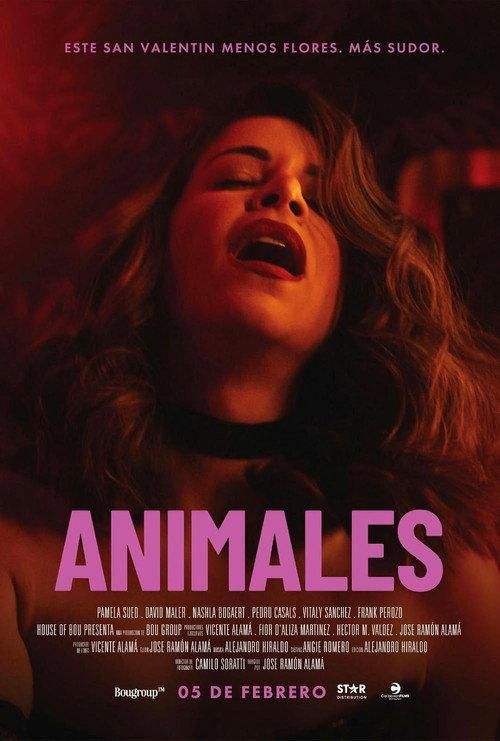 Animales filmas online