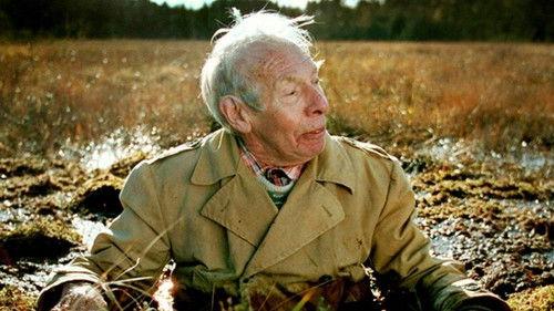 Most People Live in China filmas žiurėti online