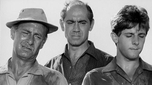 La caza filmas žiurėti online