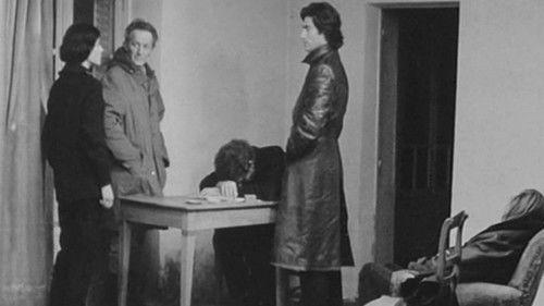 Jaune, Le Soleil filmas žiurėti online