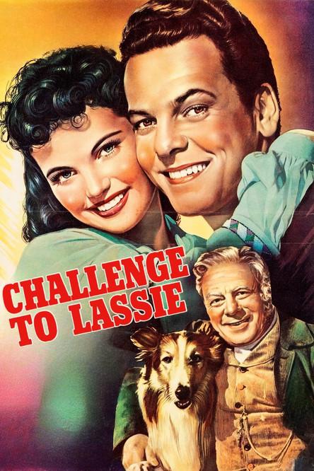Challenge to Lassie filmas online