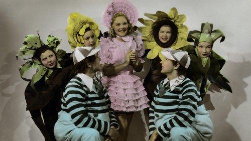 My Lucky Star filmas žiurėti online