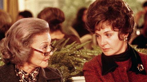 Summer Wishes, Winter Dreams filmas žiurėti online