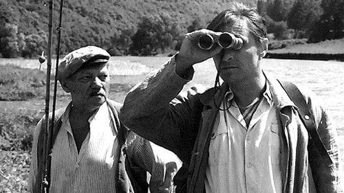 Forbidden Dreams filmas žiurėti online