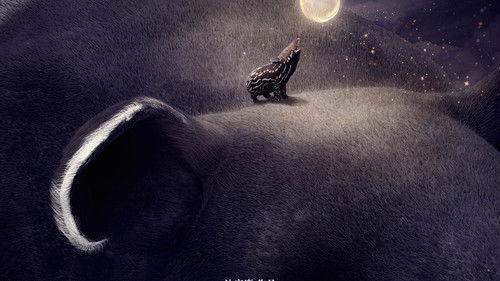 Hello! Tapir filmas žiurėti online