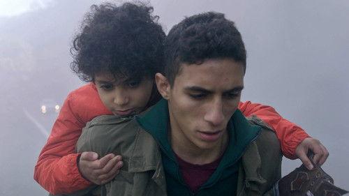 Despite the Fog filmas žiurėti online