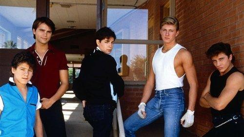 Just One of the Guys filmas žiurėti online