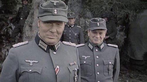 Vrhovi Zelengore filmas žiurėti online