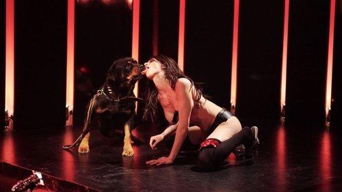 Go Go Tales filmas žiurėti online