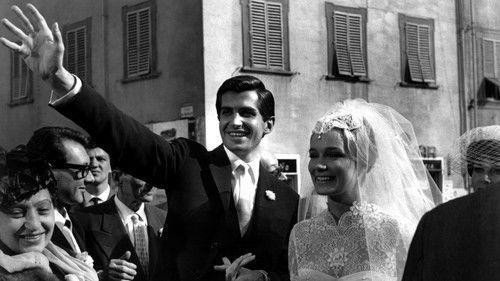 Light in the Piazza filmas žiurėti online