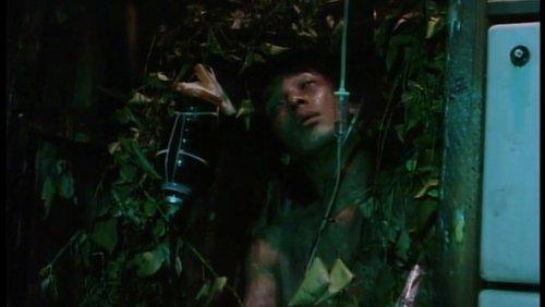 Organ filmas žiurėti online