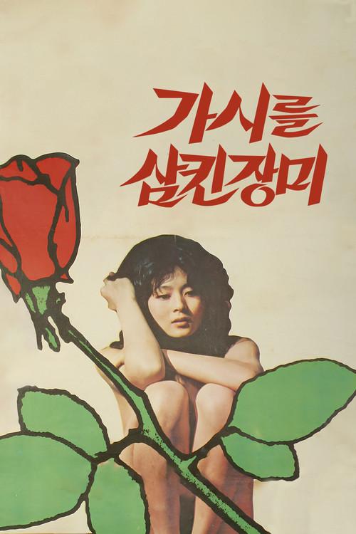 The Rose That Swallowed Thorn filmas online