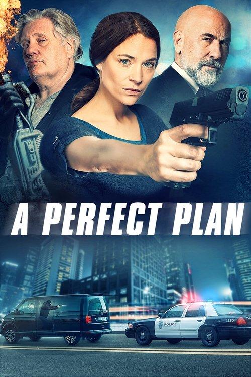 A Perfect Plan filmas online
