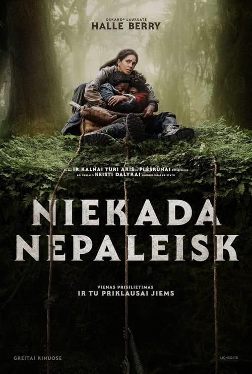 Niekada nepaleisk filmas online