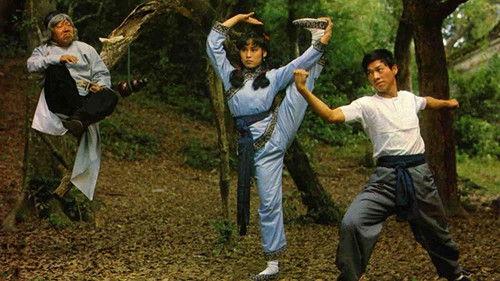 The Story of the Drunken Master filmas žiurėti online