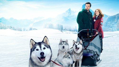 The Finnish Line filmas žiurėti online