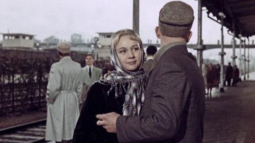 Red Leaves filmas žiurėti online