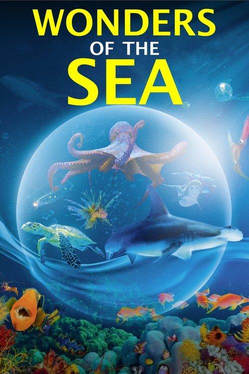 Wonders of the Sea 3D filmas online