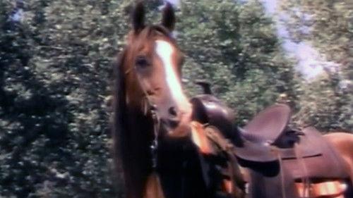 The Red Fury filmas žiurėti online