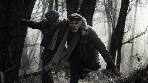 Správa filmas žiurėti online