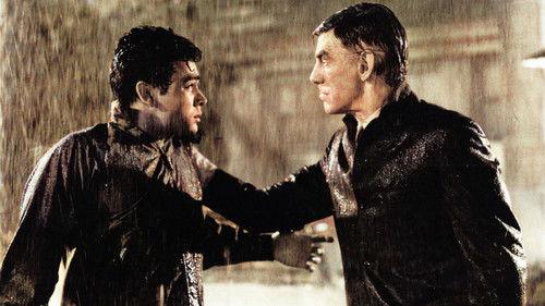 Black Zoo filmas žiurėti online