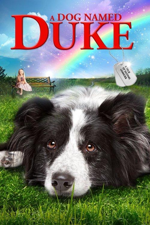 A Dog Named Duke filmas online