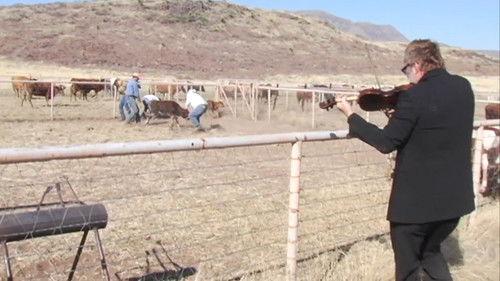 Star Whackers filmas žiurėti online