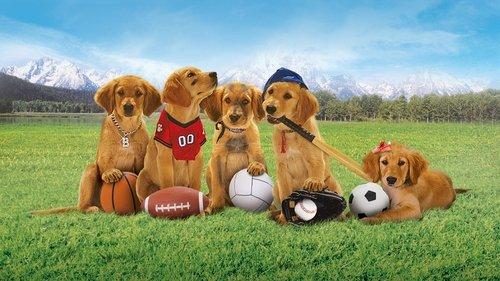 Air Buddies filmas žiurėti online