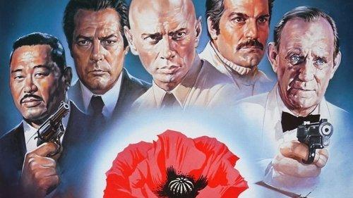 The Poppy Is Also a Flower filmas žiurėti online