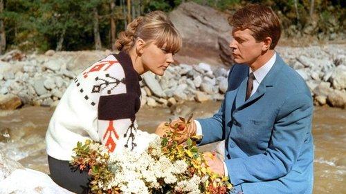 We Called Him Robert filmas žiurėti online