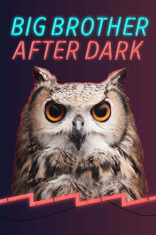 Big Brother: After Dark filmas online