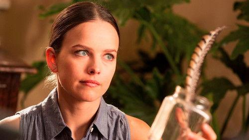 There's Always Woodstock filmas žiurėti online