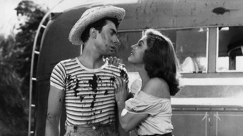 Mexican Bus Ride filmas žiurėti online