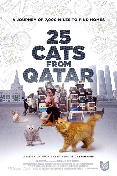25 Cats from Qatar filmas online