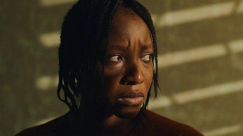 The Fire And The Moth filmas žiurėti online