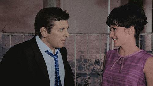 The Man from Karpazia filmas žiurėti online