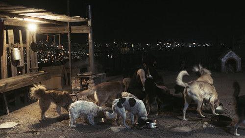 Чимээгүй хотын жолооч filmas žiurėti online