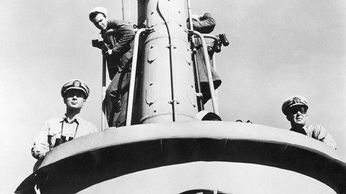 Hellcats of the Navy filmas žiurėti online